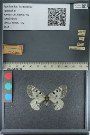 Media type: image;   Entomology 180109